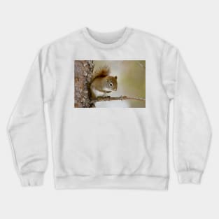 Red Squirrel Crewneck Sweatshirt